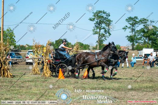 Mintakép 20260912-667