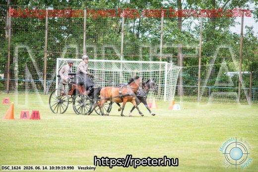 Mintakép 20260614-991