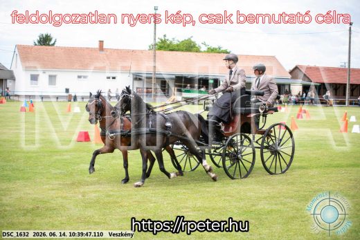 Mintakép 20260614-994