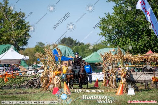 20260912-110356-DSC_7542.jpg