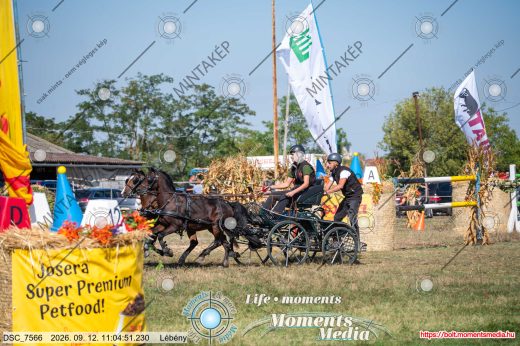 Mintakép 20260912-753