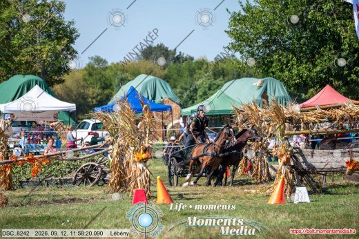 Mintakép 20260912-771
