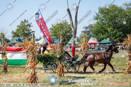 Mintakép 20260912-781