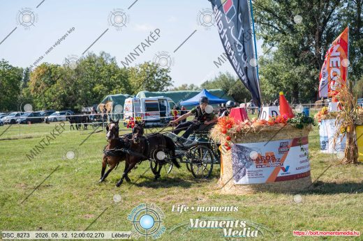 Mintakép 20260912-785