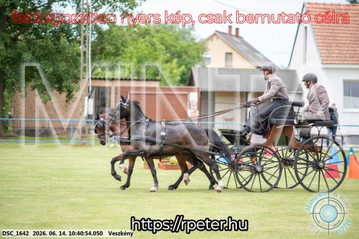 Mintakép 20260614-1002