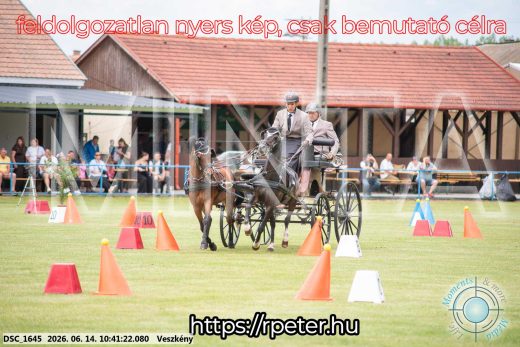 Mintakép 20260614-1005