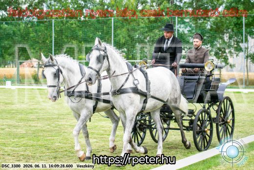 Mintakép 20260611-16