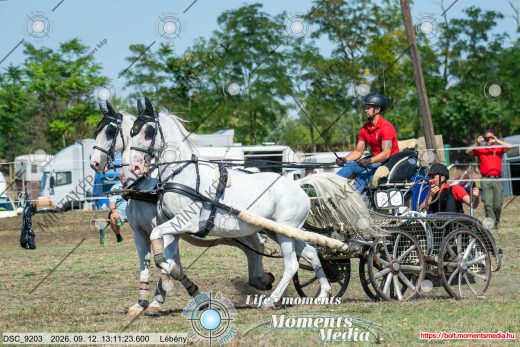 20260912-131123-DSC_9203.jpg