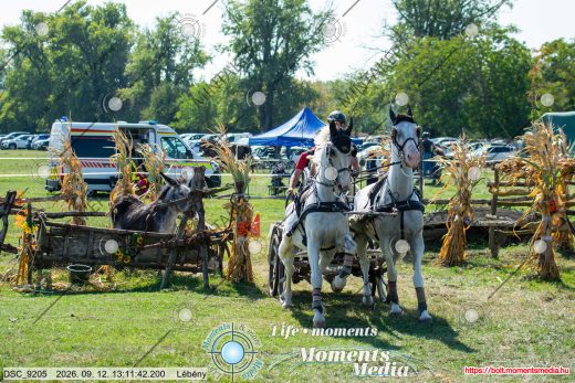 20260912-131142-DSC_9205.jpg