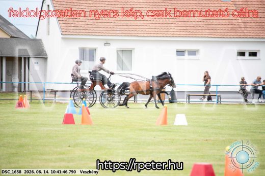 Mintakép 20260614-1018