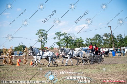 Mintakép 20260912-951