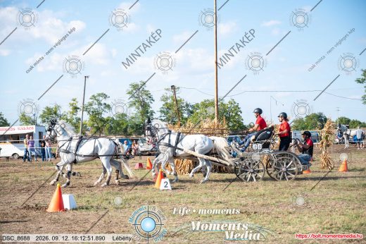 Mintakép 20260912-952