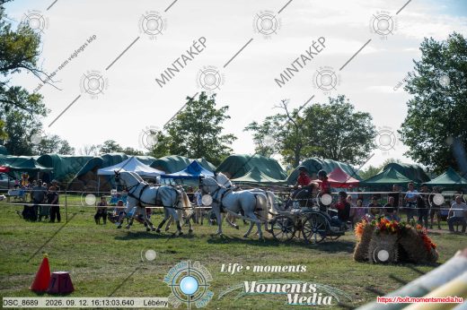 Mintakép 20260912-953
