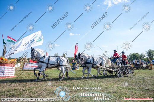Mintakép 20260912-962