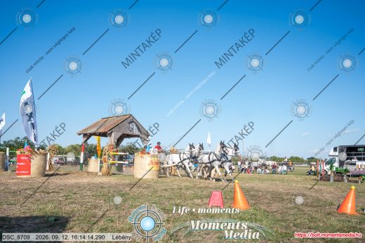 Mintakép 20260912-968