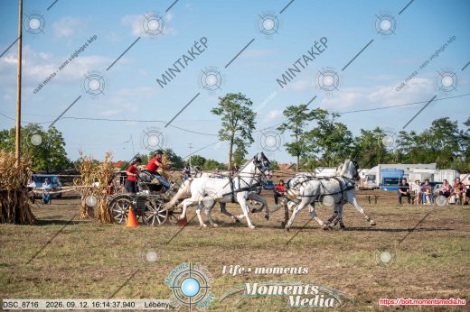 Mintakép 20260912-974