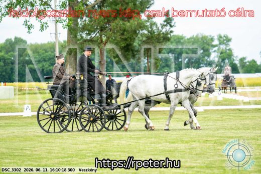 Mintakép 20260611-17