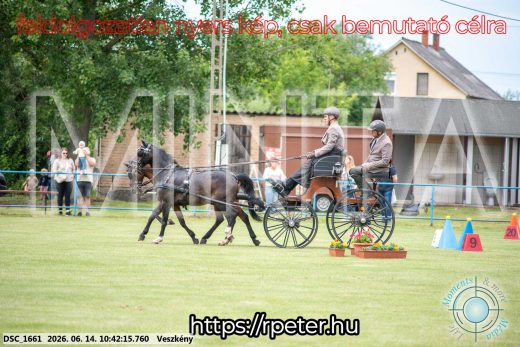 Mintakép 20260614-1021