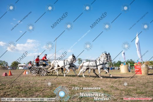 Mintakép 20260912-981