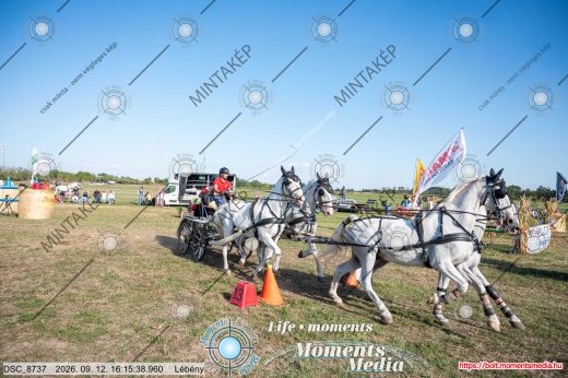 Mintakép 20260912-989
