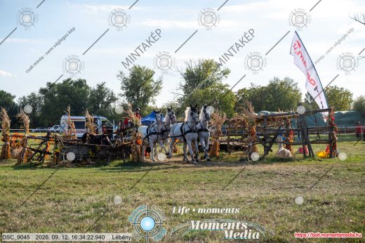 Mintakép 20260912-1039