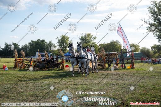 Mintakép 20260912-1040