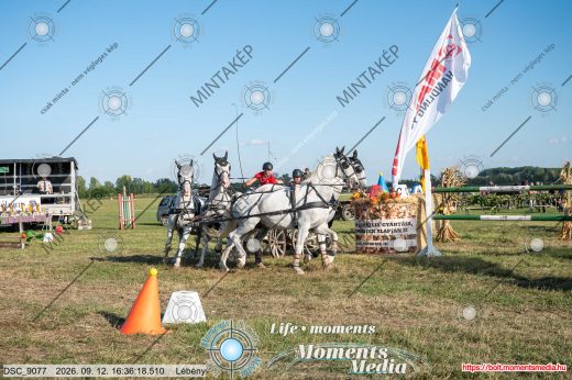 Mintakép 20260912-1057