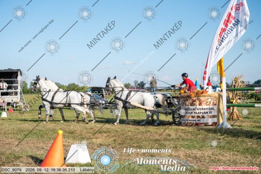 Mintakép 20260912-1059