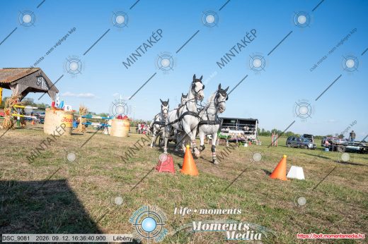Mintakép 20260912-1061