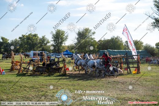 Mintakép 20260912-1065