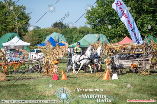 Mintakép 20260912-1071