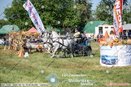 Mintakép 20260912-1072