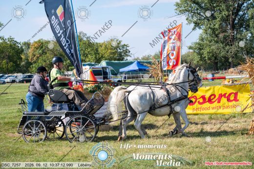 Mintakép 20260912-1081