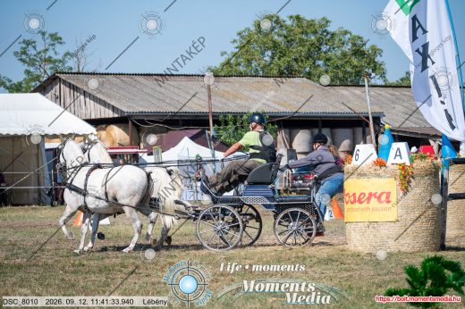 Mintakép 20260912-1095