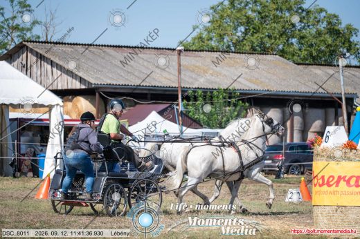 Mintakép 20260912-1096