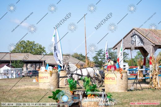 Mintakép 20260912-1099