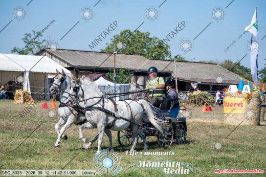 Mintakép 20260912-1106