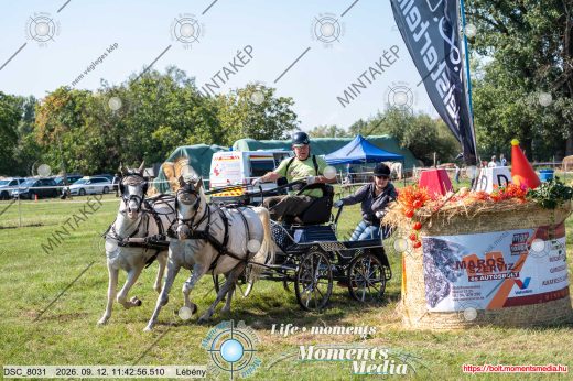 Mintakép 20260912-1112