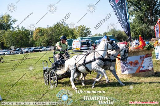 Mintakép 20260912-1113