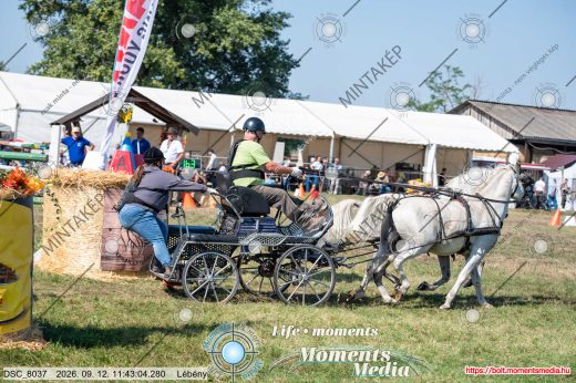 Mintakép 20260912-1116