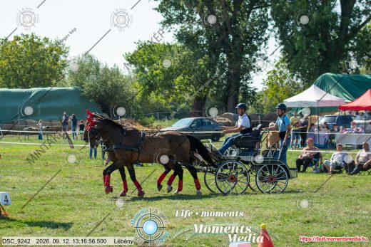 Mintakép 20260912-1170