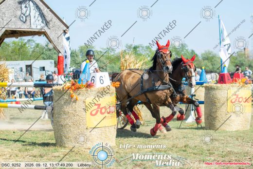 Mintakép 20260912-1178