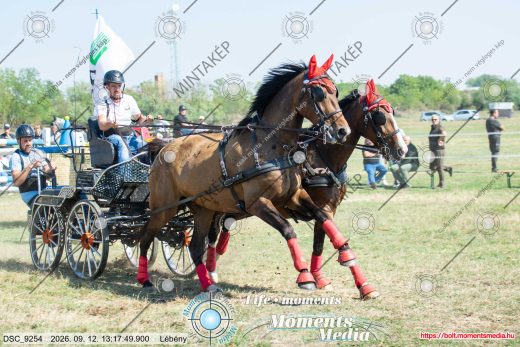 Mintakép 20260912-1179