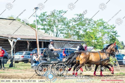 Mintakép 20260912-1180