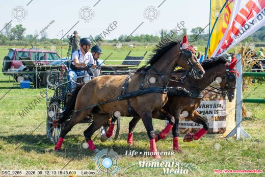 Mintakép 20260912-1188
