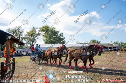 Mintakép 20260912-1221