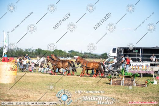 Mintakép 20260912-1224