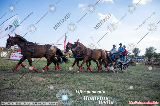 Mintakép 20260912-1233