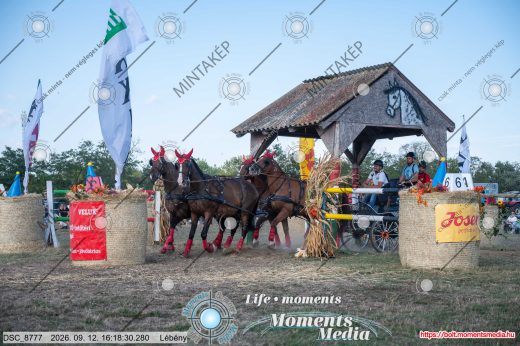 Mintakép 20260912-1237