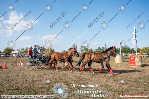 Mintakép 20260912-1254